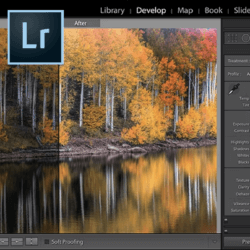 Intro to Photography: Using Lightroom