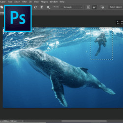 Intro to Photography: Photo Manipulation